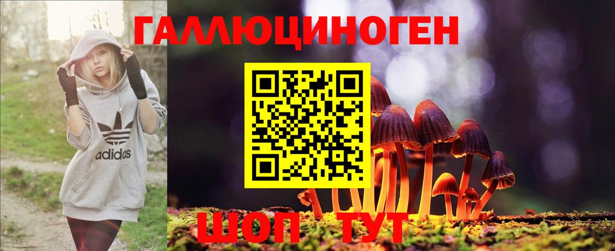 Галлюциногенные грибы Magic Shrooms  Вход с VPN  Галлюциногенные грибы ЛСД  Черкесск 